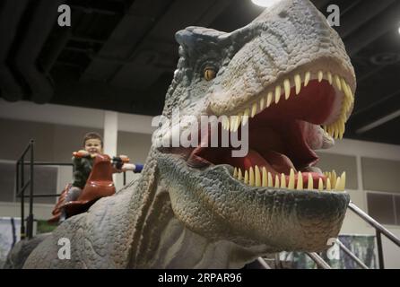 (190517) -- VANCOUVER, 17 maggio 2019 -- Un bambino siede sul retro di un T-Rex alla mostra Jurassic quest al Vancouver Convention Center di Vancouver, Canada, 17 maggio 2019. Jurassic quest è il più grande e realistico evento di dinosauri del Nord America e arriva in Canada per la prima volta, con oltre 80 dinosauri a grandezza naturale. CANADA-VANCOUVER-EXHIBITION-JURASSIC QUEST LiangxSen PUBLICATIONxNOTxINxCHN Foto Stock