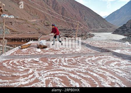 (190523) -- LHASA, 23 maggio 2019 (Xinhua) -- Un abitante del villaggio raccoglie sale in un campo salino nella contea di Mangkam, nella regione autonoma del Tibet del sud-ovest della Cina, 22 maggio 2019. Un'antica tecnica di produzione del sale fin dalla dinastia Tang (618-907) è ben conservata nella contea di Mangkam. La popolazione locale segue un metodo di raccolta del sale raccogliendo salamoie dalle miniere di sale e dagli stagni e facendole evaporare al sole fino alla cristallizzazione. (Xinhua/li Xin) CHINA-TIBET-MANGKAM-SALT PRODUCTION (CN) PUBLICATIONxNOTxINxCHN Foto Stock