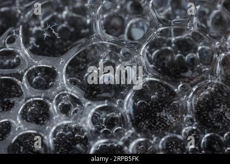 Molte bolle di sapone su sfondo nero, macro Foto Stock