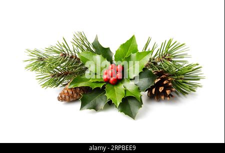 Decorazione natalizia di bacche di holly e cono di pino. Decorazione naturale invernale Foto Stock