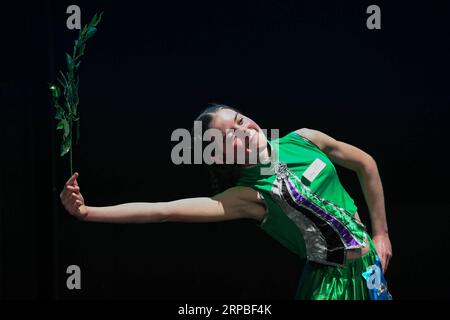 (190607) -- WELLINGTON, 7 giugno 2019 (Xinhua) -- il concorrente Ruby Barton mette in scena la danza popolare cinese durante il 12 ° Chinese Bridge Chinese proficiency competition a Wellington, nuova Zelanda, 7 giugno 2019. I turni preliminari oltremare del 12° Chinese Bridge Chinese proficiency competition per studenti di scuole secondarie straniere hanno dato il via alla Wellington Gallery qui venerdì. Il concorso era diviso in Junior Group, Senior Group e Tertiary Group, e comprendeva due sezioni, il discorso e la dimostrazione di un talento. (Xinhua/Guo lei) NEW ZEALAND-WELLINGTON-CHINESE BRIDGE PUBLICATIONxNOTxI Foto Stock