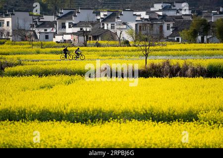 (190610) -- PECHINO, 10 giugno 2019 (Xinhua) -- le persone cavalcano in bicicletta tra i fiori di cole nel villaggio di Lucun, nella contea di Yixian nella provincia di Anhui della Cina orientale, 25 marzo 2016. La provincia di Anhui si trova nella Cina orientale, con i fiumi Yangtze, Huaihe e Xin An. La pianura di Huaibei, il territorio collinare di Jianghuai e l'area montuosa di Wannan contribuiscono anche ai vari paesaggi della provincia. Anhui ha compiuto grandi sforzi nello sviluppo ecologico e ha sempre cercato con vigore l'armonia tra uomo e natura nel corso degli anni. La provincia ha visto un continuo miglioramento dell'environ naturale Foto Stock