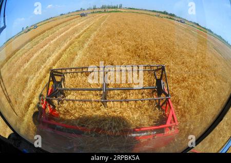 (190611) -- PECHINO, 11 giugno 2019 (Xinhua) -- Un mietitore lavora nel campo di grano nel villaggio di Wumaying nella contea di Nanpi, nella provincia di Hebei nella Cina settentrionale, 10 giugno 2019. (Xinhua/Mu Yu) XINHUA FOTO DEL GIORNO PUBLICATIONxNOTxINxCHN Foto Stock