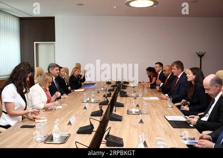 (190611) -- SARAJEVO, 11 giugno 2019 (Xinhua) -- Denis Zvizdic (3rd L), presidente del Consiglio dei ministri della Bosnia-Erzegovina (BiH), incontra il ministro degli Esteri ceco Tomas Petricek (3rd R) a Sarajevo, Bosnia-Erzegovina, 11 giugno 2019. (Xinhua/Nedim Grabovica) BOSNIA-ERZEGOVINA-SARAJEVO-CZECH FM-MEETING PUBLICATIONxNOTxINxCHN Foto Stock