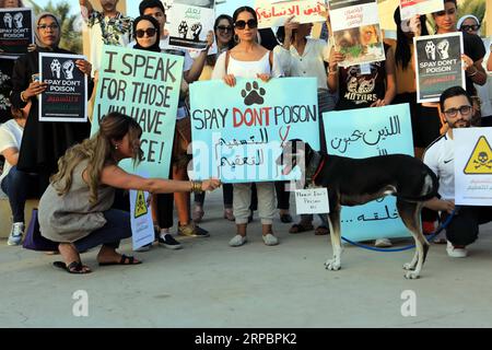 (190613) -- KUWAIT CITY, 13 giugno 2019 -- le persone partecipano a una pacifica lotta per la protezione degli animali randagi a Kuwait City, Kuwait, il 13 giugno 2019. Dozzine di Kuwaitis e attivisti per i diritti degli animali giovedì hanno tenuto una posizione pacifica a Kuwait City, chiedendo di fermare l'avvelenamento di animali randagi. KUWAIT-KUWAIT CITY-RALLY-RALLY-RANDAGI ANIMALI-PROTEZIONE JOSEPHXSHAGRA PUBLICATIONXNOTXINXCHN Foto Stock