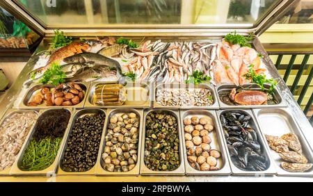 Pesce sul ghiaccio al mercato del pesce. Pesce, molluschi, gamberi, calamari, granchi sul ghiaccio Foto Stock