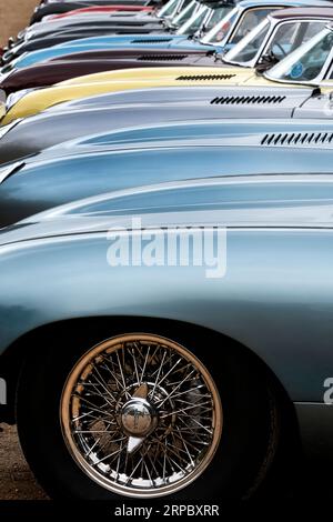 Esposizione Jaguar e Type al Concours of Elegance all'Hampton Court Palace Londra Regno Unito 2023 Foto Stock