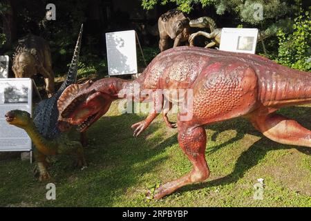 (190619) -- BUDAPEST, 19 giugno 2019 -- sculture di dinosauri sono esposte nel giardino del Museo di storia naturale di Budapest, in Ungheria, 18 giugno 2019. ) UNGHERIA-BUDAPEST-MUSEO DI STORIA NATURALE-SCULTURE DI DINOSAURO ATTILAXVOLGYI PUBLICATIONXNOTXINXCHN Foto Stock