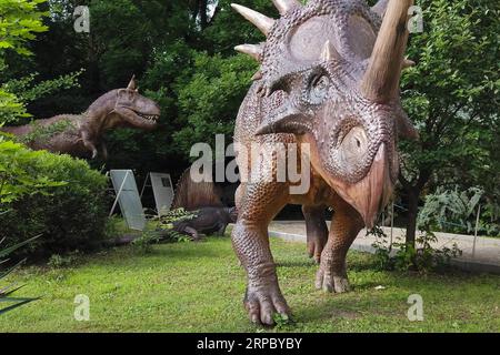 (190619) -- BUDAPEST, 19 giugno 2019 -- sculture di dinosauri sono esposte nel giardino del Museo di storia naturale di Budapest, in Ungheria, 18 giugno 2019. ) UNGHERIA-BUDAPEST-MUSEO DI STORIA NATURALE-SCULTURE DI DINOSAURO ATTILAXVOLGYI PUBLICATIONXNOTXINXCHN Foto Stock