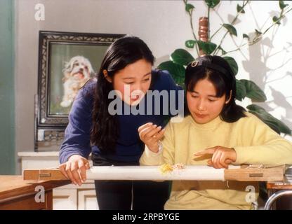 (190619) -- NANJING, Giugno 19, 2019 (Xinhua) -- File foto scattata nel 2000 mostra Yao Huifen (L) e Yao Huiqin al lavoro. I ricami di Suzhou, uno dei quattro famosi ricami in Cina, è originato in Suzhou e ha una storia di più di duemila anni. Noto per la sua elegante disegno, design artistico, fine artigianato e varie maglie, è stato elencato come un cittadino patrimonio culturale immateriale della Cina nel 2006. Yao Huifen, rappresentante ereditiere del mestiere, è nato a Suzhou nel 1967 in una famiglia di ricamo. Influenzato dai suoi nonni e genitori poiché i giovani, ella cadde in amore con la Foto Stock