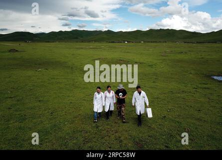 (190624) -- MAQU, 24 giugno 2019 -- foto aerea scattata il 23 giugno 2019 mostra i membri del team di assistenza medica che camminano per visitare i pazienti nella contea di Maqu della prefettura autonoma tibetana di Gannan, provincia del Gansu della Cina nord-occidentale. Gansu secondo ospedale provinciale del popolo ha inviato oltre 30 medici in quattro lotti per fornire assistenza medica nella contea di Maqu dalla fine del 2015. I medici superarono le difficoltà del mal di altitudine e del trasporto scomodo mentre curavano i pazienti sulla prateria sull'altopiano. Avendo servito quasi 10, 000 persone finora, l'equipe medica ha risolto problemi di pastori in Foto Stock