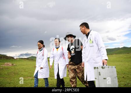 (190624) -- MAQU, 24 giugno 2019 -- membro del team di assistenza medica Walk to visit Patients in Maqu County of Gannan Tibetan Autonomous Prefecture, North West China S Gansu Province, 23 giugno 2019. Gansu secondo ospedale provinciale del popolo ha inviato oltre 30 medici in quattro lotti per fornire assistenza medica nella contea di Maqu dalla fine del 2015. I medici superarono le difficoltà del mal di altitudine e del trasporto scomodo mentre curavano i pazienti sulla prateria sull'altopiano. Avendo servito quasi 10, 000 persone finora, l'equipe medica ha risolto problemi di pastori nel vedere un medico. ) CINA-GANSU- Foto Stock