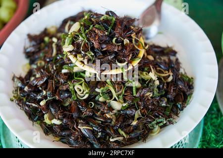 Crickets fritti sul piatto Foto Stock