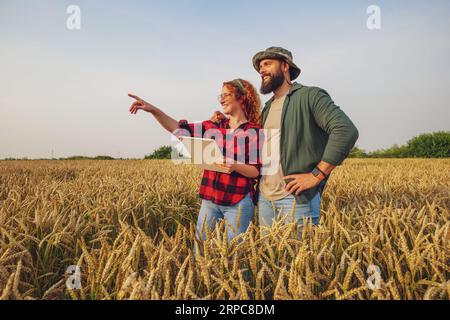 Occupazione agricola familiare. L'uomo e la donna coltivano il grano. Stanno esaminando i progressi delle piante. Foto Stock