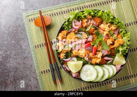 Insalata di maiale fermentato e riso croccante in Laos o primo piano di Yam Naem Khao sul piatto sul tavolo. Vista superiore orizzontale dall'alto Foto Stock