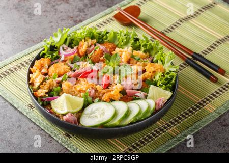 Insalata di maiale fermentato e riso croccante in Laos o primo piano di Yam Naem Khao sul piatto sul tavolo. Orizzontale Foto Stock