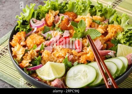 Insalata di palle di riso fritta in Laos con maiale fermentato e primi piani di verdure sul piatto sul tavolo. Orizzontale Foto Stock