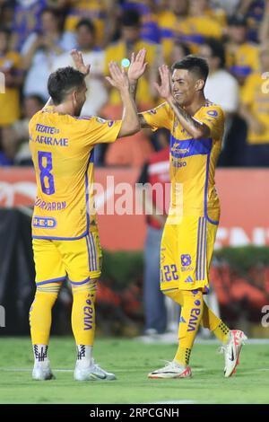 Monterrey, Messico. 2 settembre 2023. 2 settembre 2023; Monterrey, Nuevo León, Messico; Liga MX 2023 apertura, sesto turno tra UANL Tigres e Querétaro FC a Estádio Universitário. L'8° centrocampista Tigres, Fernando Gorriarán e il 22° centrocampista Tigres, Raymundo Fulgencio Roman celebrano il suo secondo obiettivo del gioco crediti obbligatori: Toby Tande/PxImages/Sipa USA Credit: SIPA USA/Alamy Live News Foto Stock