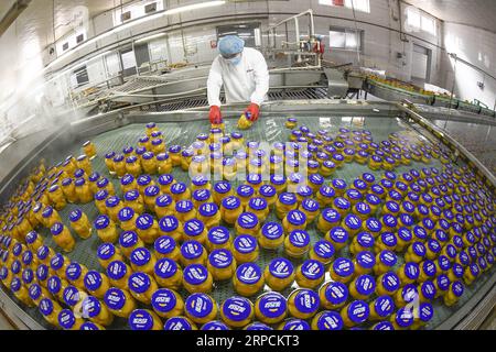 (190708) -- PECHINO, 8 luglio 2019 -- Un membro del personale lavora in una fabbrica di pesche in scatola nella città di Zunhua, nella provincia di Hebei nella Cina settentrionale, il 7 luglio 2019. (Foto di /Xinhua) XINHUA FOTO DEL GIORNO LiuxMancang PUBLICATIONxNOTxINxCHN Foto Stock