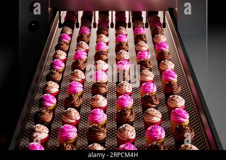 Muffin colorati in una fabbrica. Linea di produzione automatizzata. Dolciumi Foto Stock