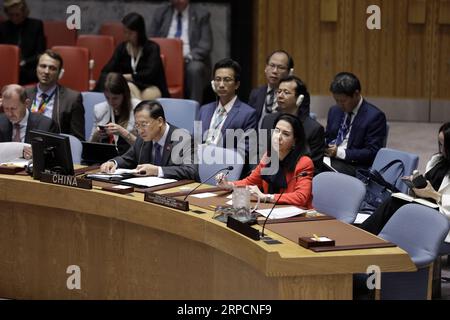 (190709) -- NAZIONI UNITE, 9 luglio 2019 -- Michele Coninsx (1st R, front), direttore esecutivo della direzione esecutiva antiterrorismo (CTED), partecipa a un dibattito aperto del Consiglio di sicurezza delle Nazioni Unite sul collegamento tra terrorismo internazionale e criminalità organizzata, presso la sede delle Nazioni Unite a New York, 9 luglio 2019. ) DIBATTITO APERTO DEL CONSIGLIO DI SICUREZZA DELLE NAZIONI UNITE CONTRO IL TERRORISMO LIXMUZI PUBLICATIONXNOTXINXCHN Foto Stock