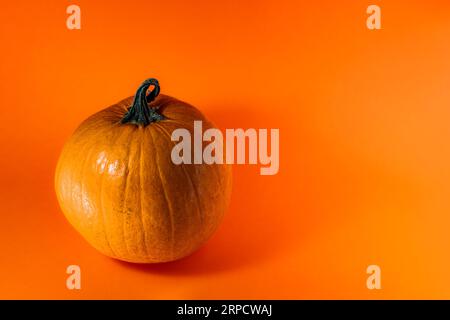 Decorazione a tema Halloween con sfondo solido Foto Stock