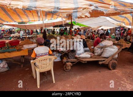 Mandoto, Madagascar - Novembre 9. 2022 - l'uomo malgascio compra pesce secco in un mercato di strada. La pesca è uno dei mezzi di sussistenza in Madagascar. Foto Stock