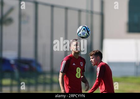 Cardiff, Regno Unito. 4 settembre 2023. Brennan Johnson del Galles durante l'allenamento della squadra di calcio del Galles a Hensol, vale of Glamorgan nel Galles del Sud lunedì 4 settembre 2023. foto di Andrew Orchard/Andrew Orchard fotografia sportiva/ Alamy Live News Credit: Andrew Orchard fotografia sportiva/Alamy Live News Foto Stock