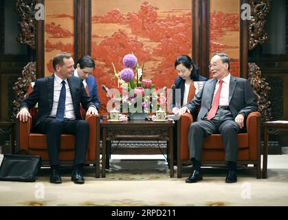 (190719) -- PECHINO, 19 luglio 2019 -- il vicepresidente cinese Wang Qishan (R) incontra il consigliere diplomatico del presidente francese Emmanuel Bonne a Pechino, capitale della Cina, 19 luglio 2019. ) CHINA-BEIJING-WANG QISHAN-FRANCIA-RIUNIONE DEL CONSIGLIERE DIPLOMATICO (CN) YANXYAN PUBLICATIONXNOTXINXCHN Foto Stock