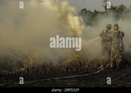 (190720) -- RIAU, 20 luglio 2019 -- i soldati indonesiani cercano di estinguere il fuoco delle torbiere a Payung Sekaki, Pekanbaru, Riau, Indonesia, 20 luglio 2019. una squadra congiunta di vigili del fuoco locali, polizia e ufficiali militari ha cercato di estinguere gli incendi boschivi diversi giorni fa. INDONESIA-RIAU-PEATLAND FIRE HadlyxVavaldi PUBLICATIONxNOTxINxCHN Foto Stock