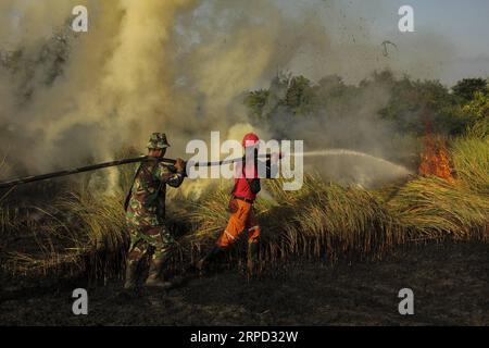 (190720) -- RIAU, 20 luglio 2019 -- un soldato indonesiano e un vigile del fuoco tentano di estinguere il fuoco delle torbiere a Payung Sekaki, Pekanbaru, Riau, Indonesia, 20 luglio 2019. una squadra congiunta di vigili del fuoco locali, polizia e ufficiali militari ha cercato di estinguere gli incendi boschivi diversi giorni fa. INDONESIA-RIAU-PEATLAND FIRE HadlyxVavaldi PUBLICATIONxNOTxINxCHN Foto Stock