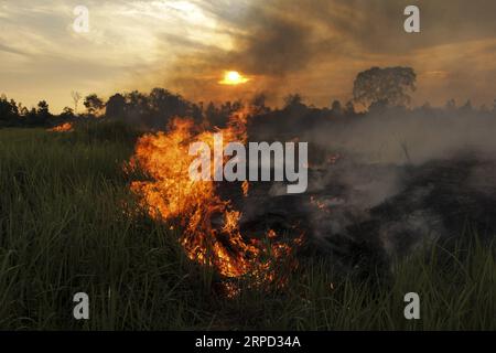 (190720) -- RIAU, 20 luglio 2019 -- foto scattata il 20 luglio 2019 mostra l'incendio di torbiere a Payung Sekaki, Pekanbaru, Riau, Indonesia. Una squadra congiunta di vigili del fuoco locali, polizia e ufficiali militari ha cercato di estinguere gli incendi boschivi diversi giorni fa. INDONESIA-RIAU-PEATLAND FIRE HadlyxVavaldi PUBLICATIONxNOTxINxCHN Foto Stock