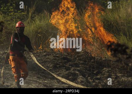 (190720) -- RIAU, 20 luglio 2019 -- un vigile del fuoco indonesiano cerca di estinguere il fuoco delle torbiere a Payung Sekaki, Pekanbaru, Riau, Indonesia, 20 luglio 2019. una squadra congiunta di vigili del fuoco locali, polizia e ufficiali militari ha cercato di estinguere gli incendi boschivi diversi giorni fa. INDONESIA-RIAU-PEATLAND FIRE HadlyxVavaldi PUBLICATIONxNOTxINxCHN Foto Stock