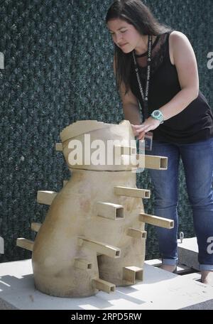 (190724) -- VANCOUVER, 24 luglio 2019 -- Una scultura che fungerebbe da rifugio artificiale per i pesci roccia è esposta al Marine Mammal Rescue Centre di Vancouver, Canada, 23 luglio 2019. Le sculture create dagli artisti della University of British Columbia e della Kwantlen Polytechnic University in Canada saranno sommerse nelle acque al largo di Porteau Cove nella British Columbia. Il numero di Rockfish è diminuito negli ultimi due decenni a causa della pesca eccessiva. Le sculture fungeranno da habitat artificiali o ripari per i pesci roccia e li attireranno a rimanere in quella zona. ) CANADA-VANCOUVER-CONSERVAZIONE MARINA- Foto Stock