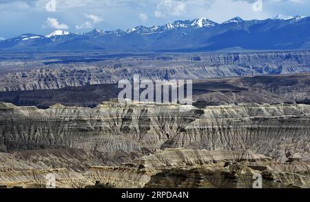 (190728) -- PECHINO, 28 luglio 2019 -- foto scattata il 23 luglio 2019 mostra il paesaggio unico della foresta terrestre nella contea di Zanda della prefettura di Ngari, nella regione autonoma Tibet del sud-ovest della Cina. ) XINHUA FOTO DEL GIORNO Chogo PUBLICATIONxNOTxINxCHN Foto Stock