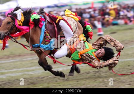 (190731) -- LITANG, 31 luglio 2019 -- Un cavaliere esegue equitazione durante un festival di corse di cavalli nella contea di Litang, nella provincia del Sichuan della Cina sud-occidentale, 30 luglio 2019. ) CHINA-SICHUAN-HORSE RACING FESTIVAL (CN) JIANGXHONGJING PUBLICATIONXNOTXINXCHN Foto Stock