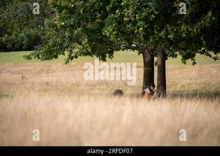 Una donna legge un libro in erba lunga sotto gli alberi a Brockwell Park, uno spazio verde pubblico a Herne Hill nel sud di Londra, il 1 settembre 2023, a Londra, in Inghilterra. Foto Stock