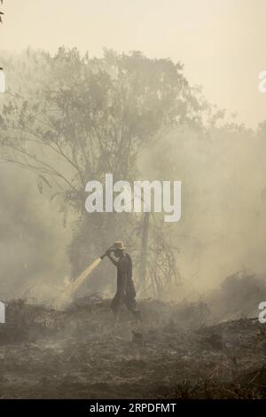 (190802) -- RIAU, 2 agosto 2019 -- un pompiere indonesiano della Regional Mitigation Disaster Management Agency di Pekanbaru cerca di estinguere il fuoco delle torbiere a Pekanbaru, Riau, Indonesia, 2 agosto 2019. La Pekanbaru Meteorology, Climatology and Geophysics Agency ha rilevato 85 punti caldi, indicando potenziali eventi di incendi boschivi e boschivi in diverse parti dell'isola di Sumatra il venerdì mattina. (Foto di /Xinhua) INDONESIA-RIAU-PEATLAND FIRE Hadlyxvavaldi PUBLICATIONxNOTxINxCHN Foto Stock