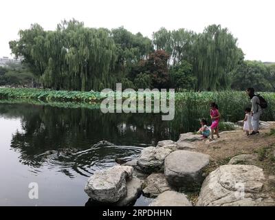 (190805) -- PECHINO, 5 agosto 2019 -- foto mobile scattata il 4 agosto 2019 mostra paesaggi al Parco Yuyuantan di Pechino, capitale della Cina. ) (BeijingCandid)CINA-PECHINO-ESTATE (CN) WuxWenxu PUBLICATIONxNOTxINxCHN Foto Stock