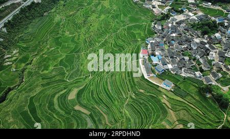 (190805) -- PECHINO, 5 agosto 2019 -- foto aerea scattata il 1° luglio 2019 mostra lo scenario dei campi terrazzati di Gaoyao nella Longquan Township della contea di Danzhai, nella provincia di Guizhou della Cina sud-occidentale. Guizhou, una provincia senza sbocco sul mare nel sud-ovest della Cina, vanta vaste aree montuose e colline, che rappresentano il 92,5% del totale della provincia. Come zona pilota della civiltà ecologica nazionale, Guizhou si è impegnata negli ultimi anni a svilupparsi in una destinazione turistica del turismo di montagna conosciuta in tutto il mondo. Lo sviluppo verde è diventato una carta di nome per Guizhou, che Foto Stock
