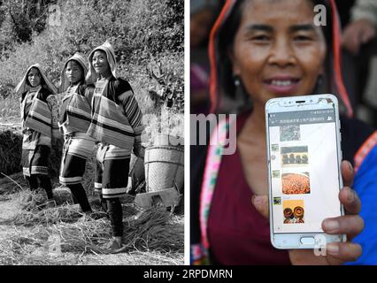 (190808) -- PECHINO, 8 agosto 2019 () -- questa foto di combinazione mostra le donne Jino che separano i semi di grano con i loro piedi nel 1984 (a sinistra, foto del file); e il villaggio di Jino li Xiuzhen che mostra un gruppo WeChat per la vendita di prodotti speciali locali al villaggio di Baka di Jino etnico Township sul monte Jino, 20 novembre 2018 (a destra, foto di Lin Yiguang). La Cina ha visto una rapida crescita del reddito e dei consumi nelle aree rurali negli ultimi 70 anni, secondo un rapporto del National Bureau of Statistics (NBS). Nel 2018, il reddito disponibile pro capite rurale era aumentato di 40 volte dal 1949 a raggiungere i 14.617 yuan (abo Foto Stock