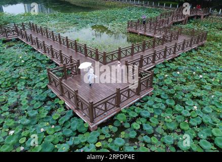 (190809) -- NANNING, 9 agosto 2019 -- foto aerea scattata il 9 agosto 2019 mostra una donna e un bambino che camminano su un ponte tra fiori di loto nel parco Nanhu a Nanning, capitale della regione autonoma Guangxi Zhuang della Cina meridionale. ) CHINA-GUANGXI-NANNING-LOTUS-BLOSSOM (CN) ZHOUXHUA PUBLICATIONXNOTXINXCHN Foto Stock