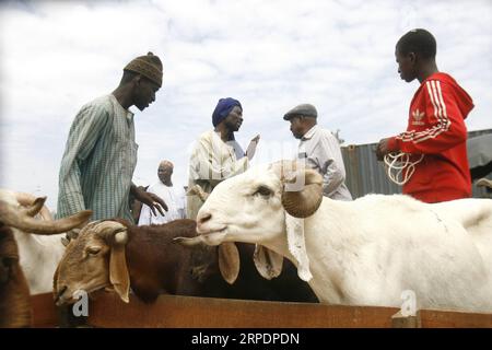 Islamisches Opferfest - Eid al Adha in der Elfenbeinküste (190809) -- ABIDJAN, 9 agosto 2019 (Xinhua) -- pastori di pecore aspettano i clienti in un mercato ad Abidjan, Costa d'Avorio, davanti al festival Eid al-Adha, il 9 agosto 2019. (Foto di Yvan Sonh/Xinhua) COTE D IVOIRE-ABIDJAN-EID-AL-ADHA-PREPARATION PUBLICATIONxNOTxINxCHN Foto Stock