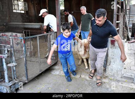 (190809) - DAMASCO, 9 agosto 2019 -- Un venditore di pecore e un ragazzo trascinano una pecora in un mercato di bestiame a Damasco, in Siria, in vista della festa di Eid al-Adha, il 9 agosto 2019. (Foto di /Xinhua) SYRIA-DAMASCO-LIVESTOCK-EID AL-ADHA AmmarxSafarjalani PUBLICATIONxNOTxINxCHN Foto Stock