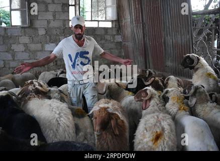 (190809) -- DAMASCO, 9 agosto 2019 -- Un venditore di pecore si trova tra le sue pecore in un mercato di bestiame a Damasco, in Siria, in vista della festa di Eid al-Adha, il 9 agosto 2019. (Foto di /Xinhua) SYRIA-DAMASCO-LIVESTOCK-EID AL-ADHA AmmarxSafarjalani PUBLICATIONxNOTxINxCHN Foto Stock