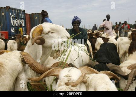 Islamisches Opferfest - Eid al Adha in der Elfenbeinküste (190809) -- ABIDJAN, 9 agosto 2019 (Xinhua) -- pastori di pecore aspettano i clienti in un mercato ad Abidjan, Costa d'Avorio, davanti al festival Eid al-Adha, il 9 agosto 2019. (Foto di Yvan Sonh/Xinhua) COTE D IVOIRE-ABIDJAN-EID-AL-ADHA-PREPARATION PUBLICATIONxNOTxINxCHN Foto Stock