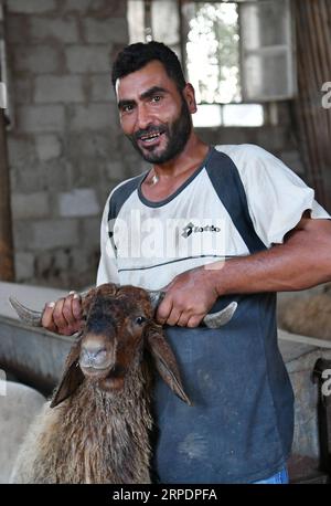 (190809) -- DAMASCO, 9 agosto 2019 -- Un venditore di pecore tiene una pecora in un mercato di bestiame a Damasco, in Siria, in vista della festa di Eid al-Adha, il 9 agosto 2019. (Foto di /Xinhua) SYRIA-DAMASCO-LIVESTOCK-EID AL-ADHA AmmarxSafarjalani PUBLICATIONxNOTxINxCHN Foto Stock