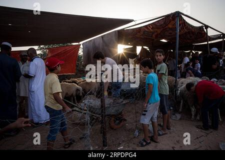 Islamisches Opferfest - Eid al Adha in Libyen (190809) -- TRIPOLI, 9 agosto 2019 -- la gente acquista pecore in un mercato di bestiame a Tripoli, Libia, il 9 agosto 2019. Il Centro Nazionale di salute animale della Libia venerdì ha detto che 350.000 pecore sono state importate per Eid al-Adha, o il Festival del sacrificio. (Foto di /Xinhua) LIBIA-TRIPOLI-EID AL-ADHA-LIVESTOCK MARKET AmruxSalahuddien PUBLICATIONxNOTxINxCHN Foto Stock