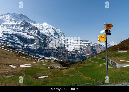 Vista sui prati del passo alpino Kleine Scheidegg in Svizzera con vista sullo Jungfraujoch innevato nelle Alpi Bernesi, con indicazione in fro Foto Stock