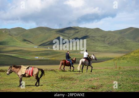 (190813) -- GANNAN, 13 agosto 2019 -- i turisti cavalcano i cavalli nelle praterie del villaggio di Gaxiu di Gahai Township, contea di Luqu, prefettura autonoma tibetana di Gannan, provincia del Gansu della Cina nord-occidentale, 13 agosto 2019. Negli ultimi anni, Gannan ha promosso la cultura e l'industria turistica per aumentare il reddito della popolazione locale. ) CHINA-GANSU-GANNAN-TOURISM (CN) ZhaoxDingzhe PUBLICATIONxNOTxINxCHN Foto Stock